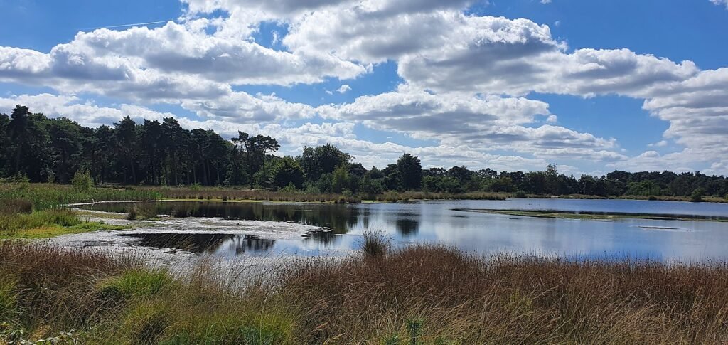An example of the beautiful nature you can discover when you travel brabant by train. 